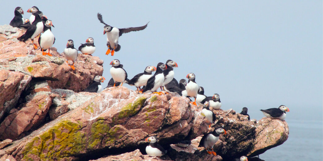 00_20170209_Maine_ Boothbay_Harbor
