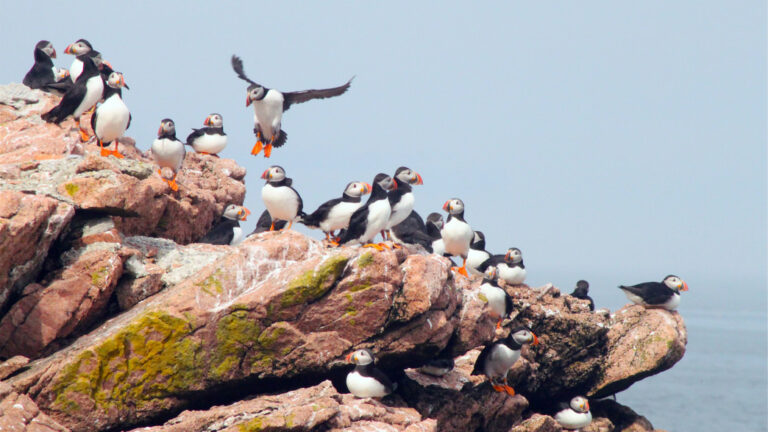 00_20170209_Maine_ Boothbay_Harbor