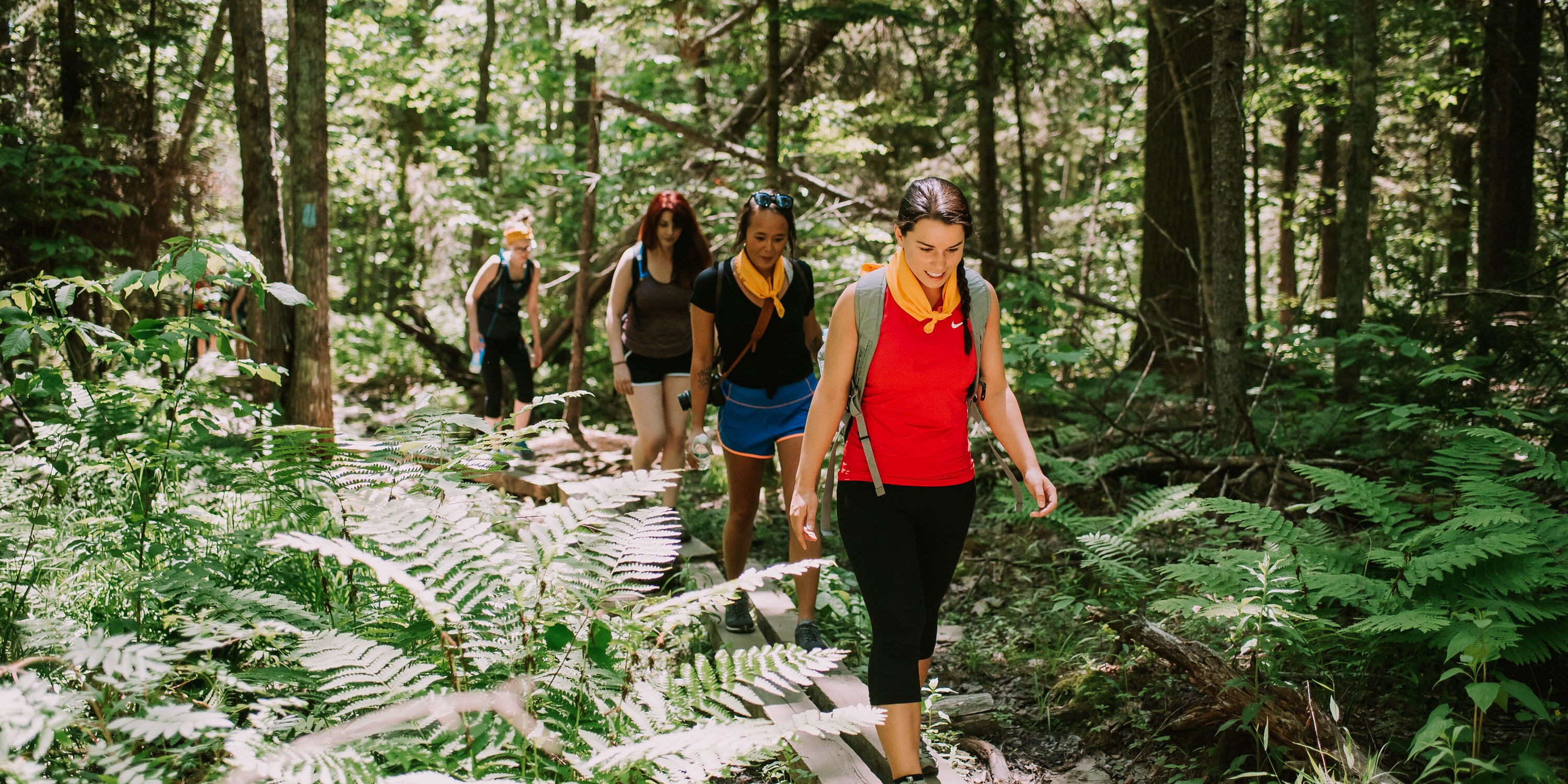 Maine's MidCoast Hikes