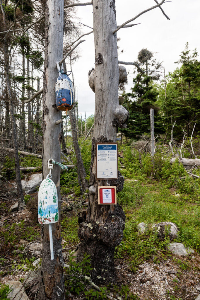 Maine Island Trails