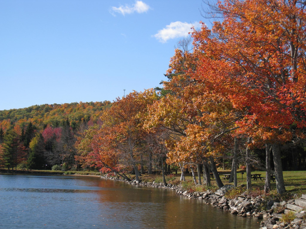 Take a short hike through Moose Point State Park.