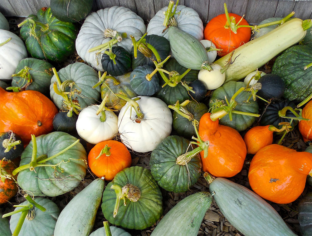 Crystal Lake Farm and Nursery, Washington, Maine