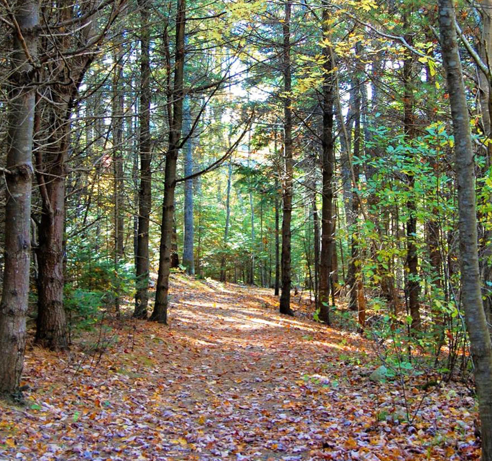 Penny Lake Preserve, Boothbay, Maine