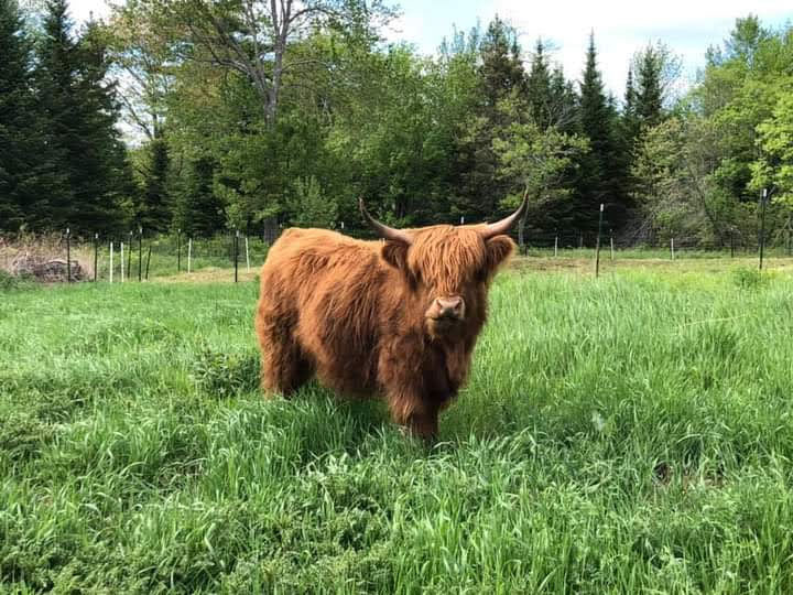 Two Rock Ridge Farm, Washington, Maine