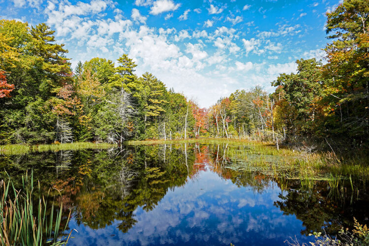 Pond, Bath, Maine