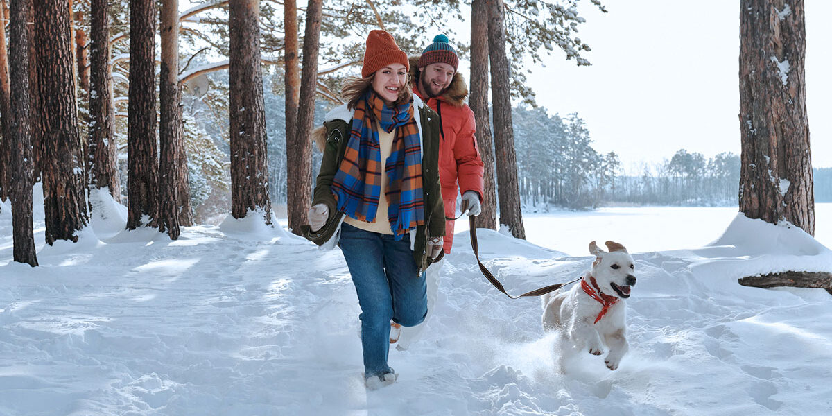 Happy couple on a winter walk in the woods with their dog