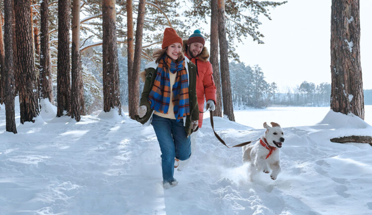 Happy couple on a winter walk in the woods with their dog