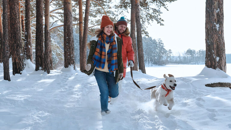 Happy couple on a winter walk in the woods with their dog