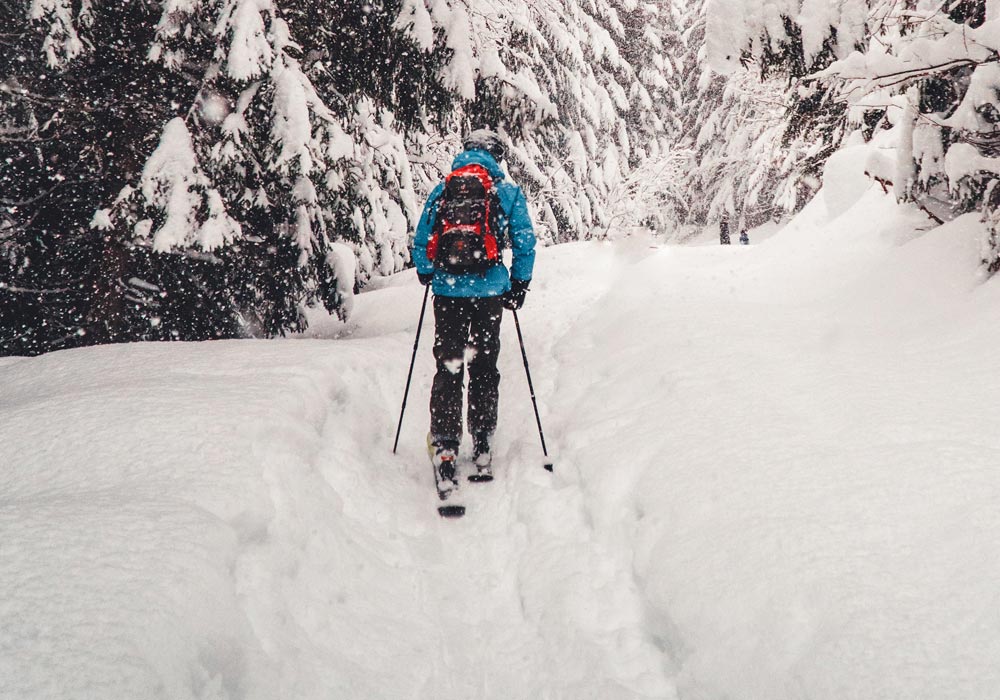 Cross country skier on a wooded trail