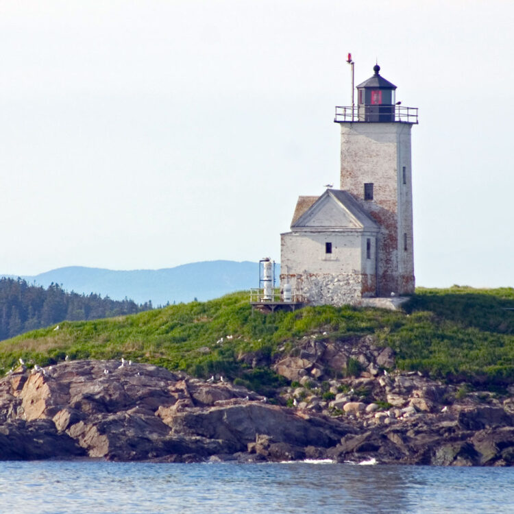 Two Bush Island Light