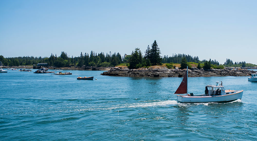 Puffin tour from Vinalhaven, Maine