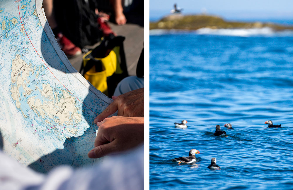 Puffin tour from Vinalhaven, Maine