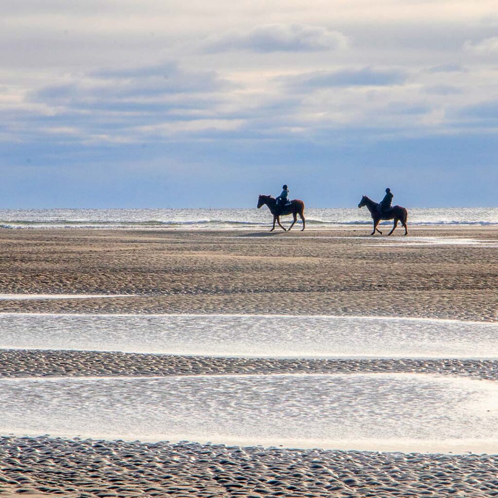 Horses on Popham Beach State Park, Phippsburg, Maine