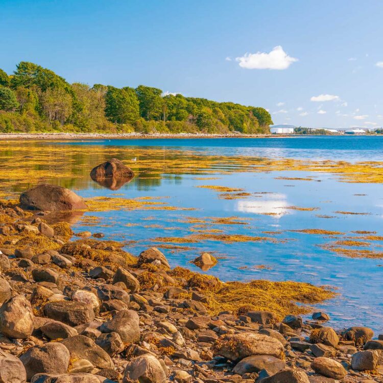 Moose Point State Park, Searsport, Maine