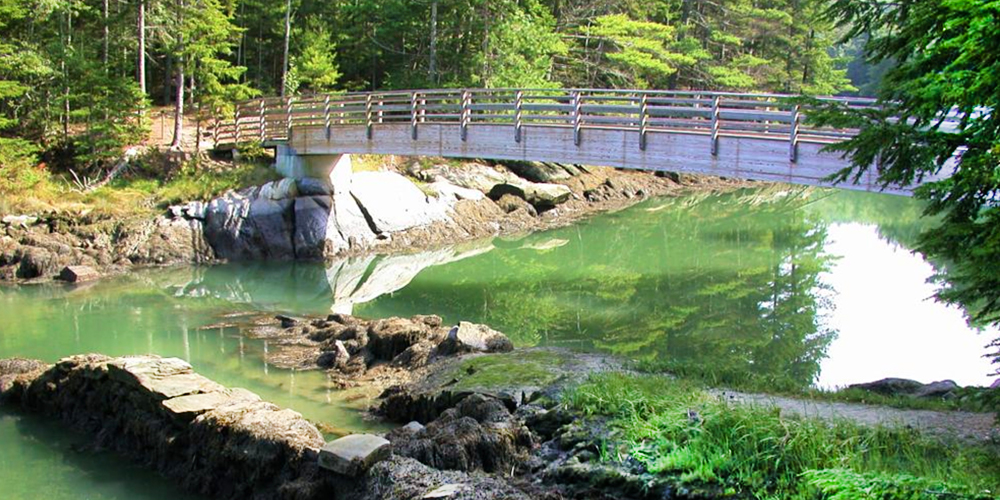 Bridge at Oven's Mouth Preserve, Boothbay Peninsula