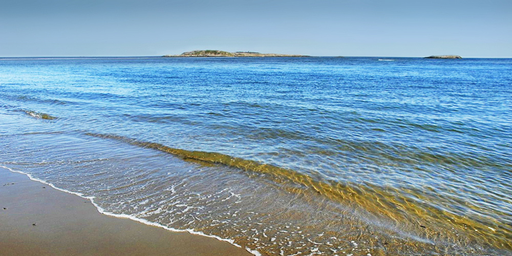 Pemaquid Peninsula, Brisol, Maine