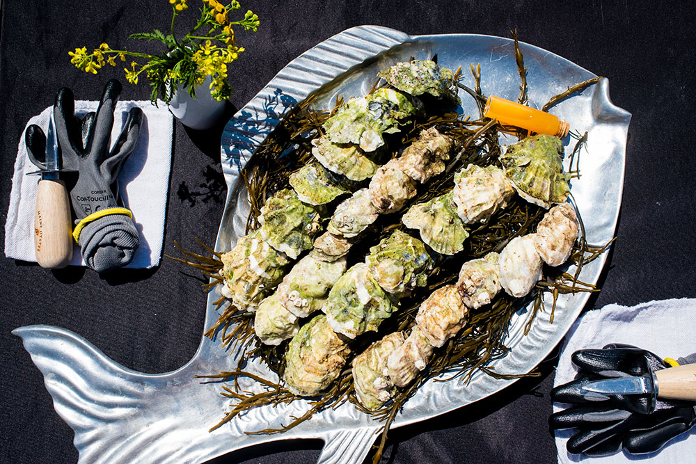 Maine Oyster Company's Basecamp in Phippsburg, Maine