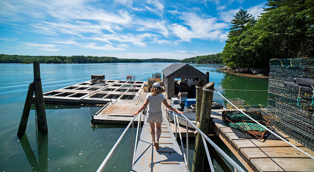 Glidden Point Oyster Farm