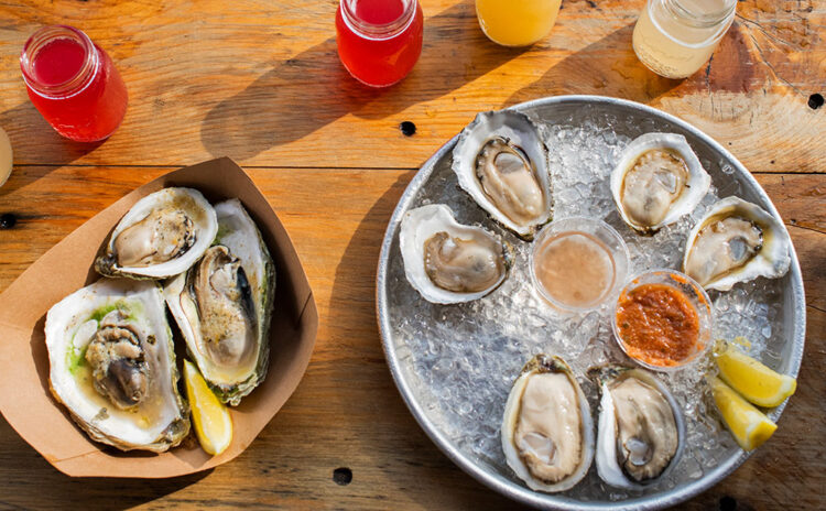 Fresh oysters on the Maine Oyster Trail