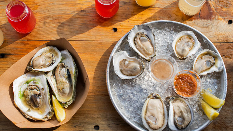 Fresh oysters on the Maine Oyster Trail