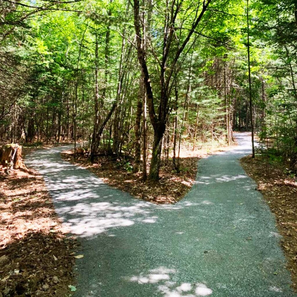 Gibson Preserve Nature Trail, Searsmont, Maine