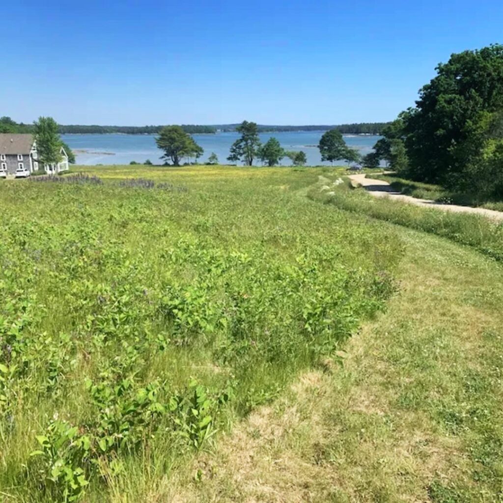 Hay Conservation and Recreation Area, Bremen, Maine