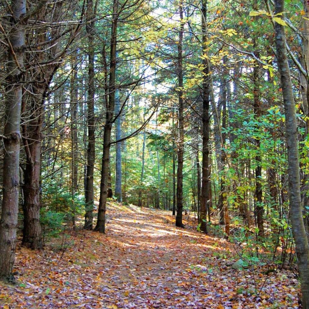 Penny Lake Preserve, Boothbay Harbor, Maine