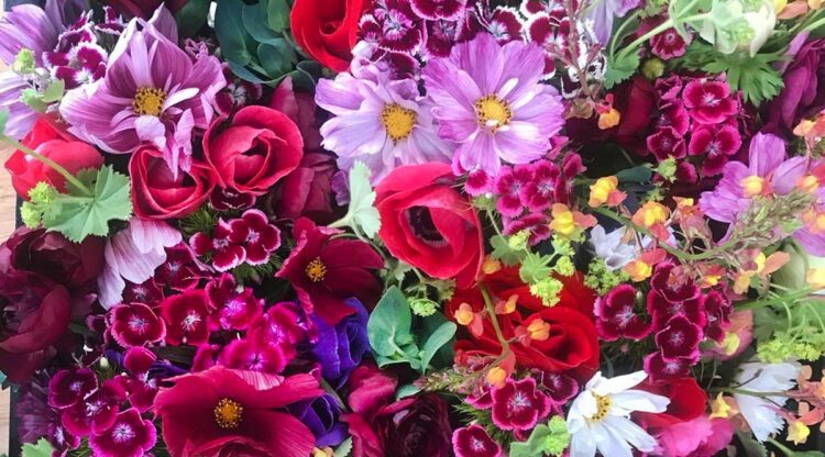 East of Eden Flower Farm, Bowdoinham, Maine