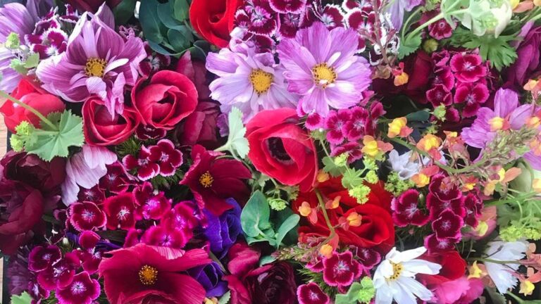 East of Eden Flower Farm, Bowdoinham, Maine