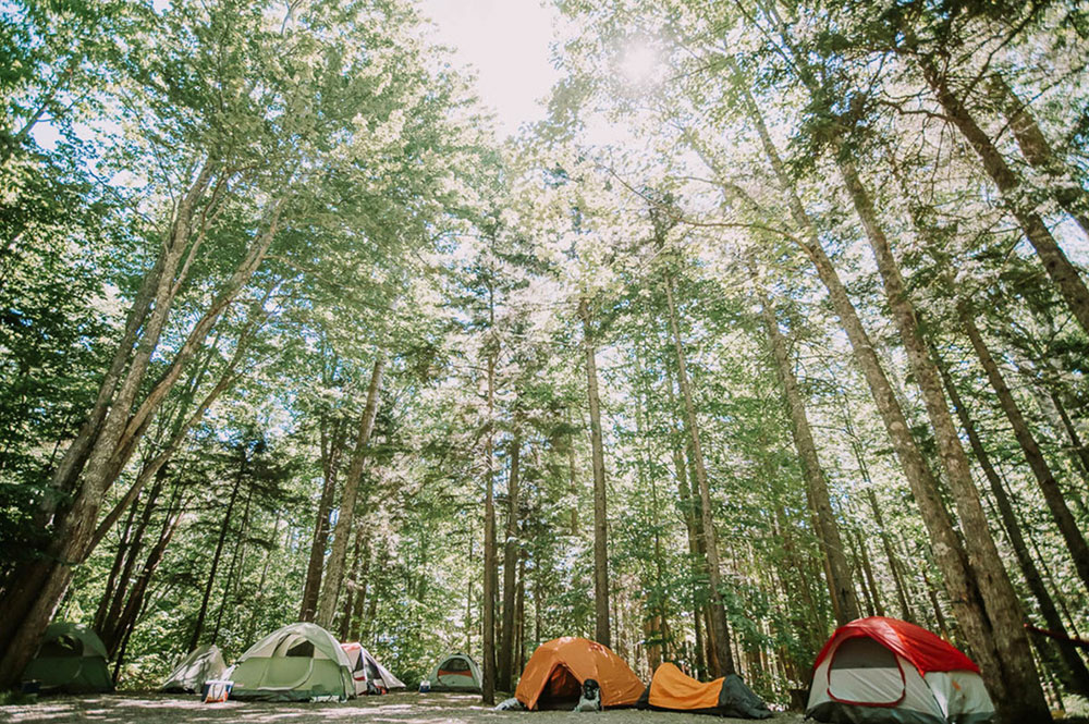 Tent camping at Camden Hills State Park