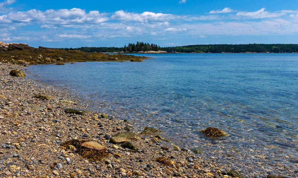 Martin's Point Beach in Friendship, Maine