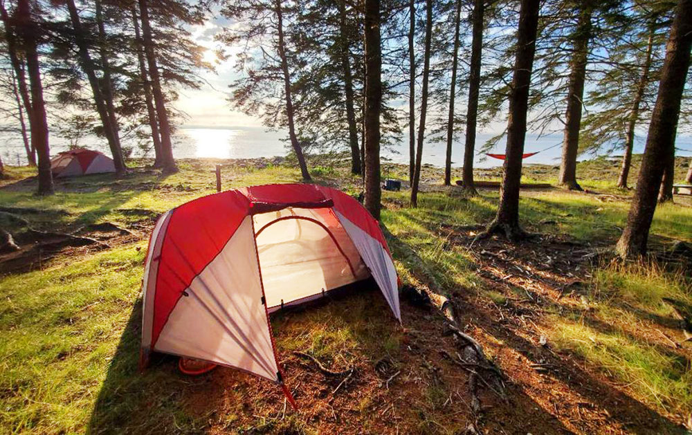 Warren Island State Park tent site