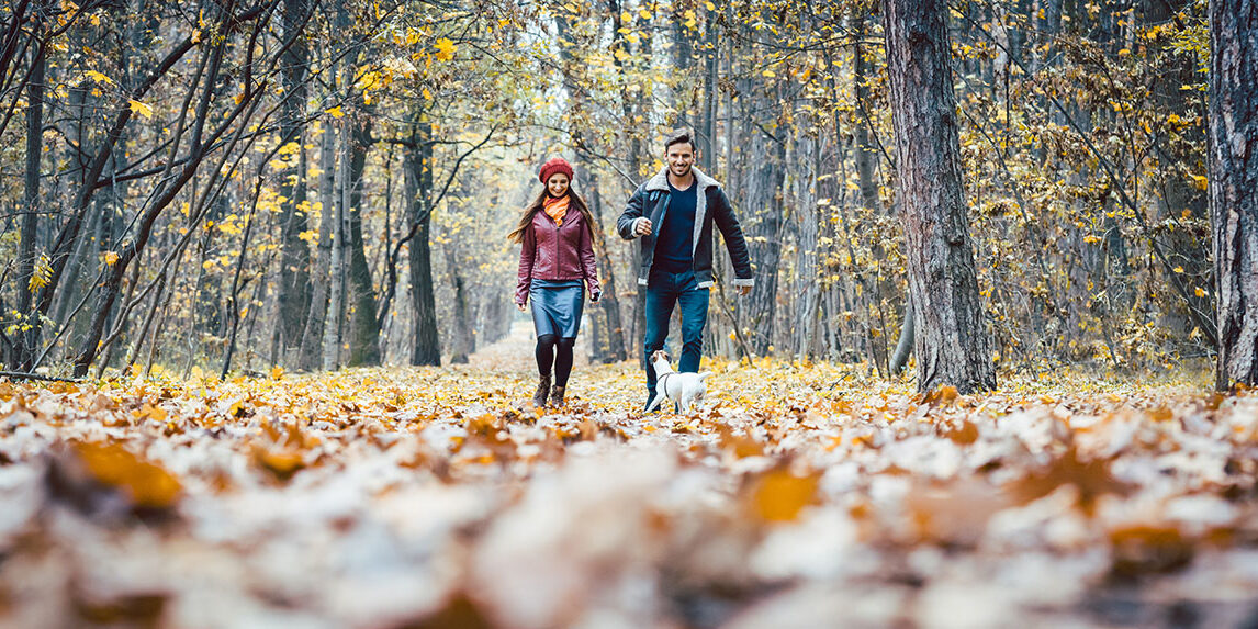 Stylish young couple walking their dog on a trail, late autumn in MidCoast Maine