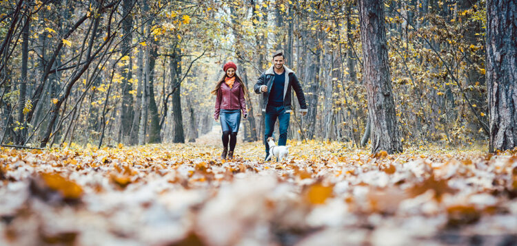 Stylish young couple walking their dog on a trail, late autumn in MidCoast Maine