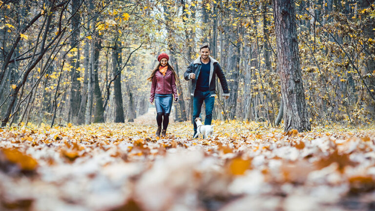 Stylish young couple walking their dog on a trail, late autumn in MidCoast Maine