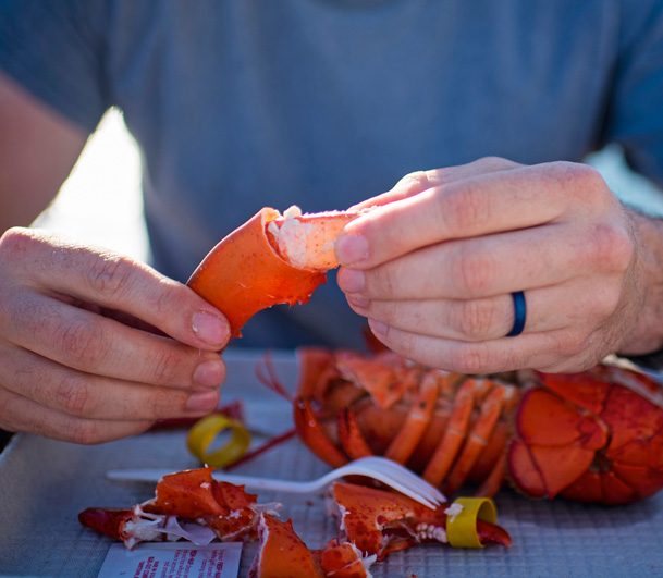 Pulling meat from a lobster claw, Young's Lobster Pound, Belfast, Maine