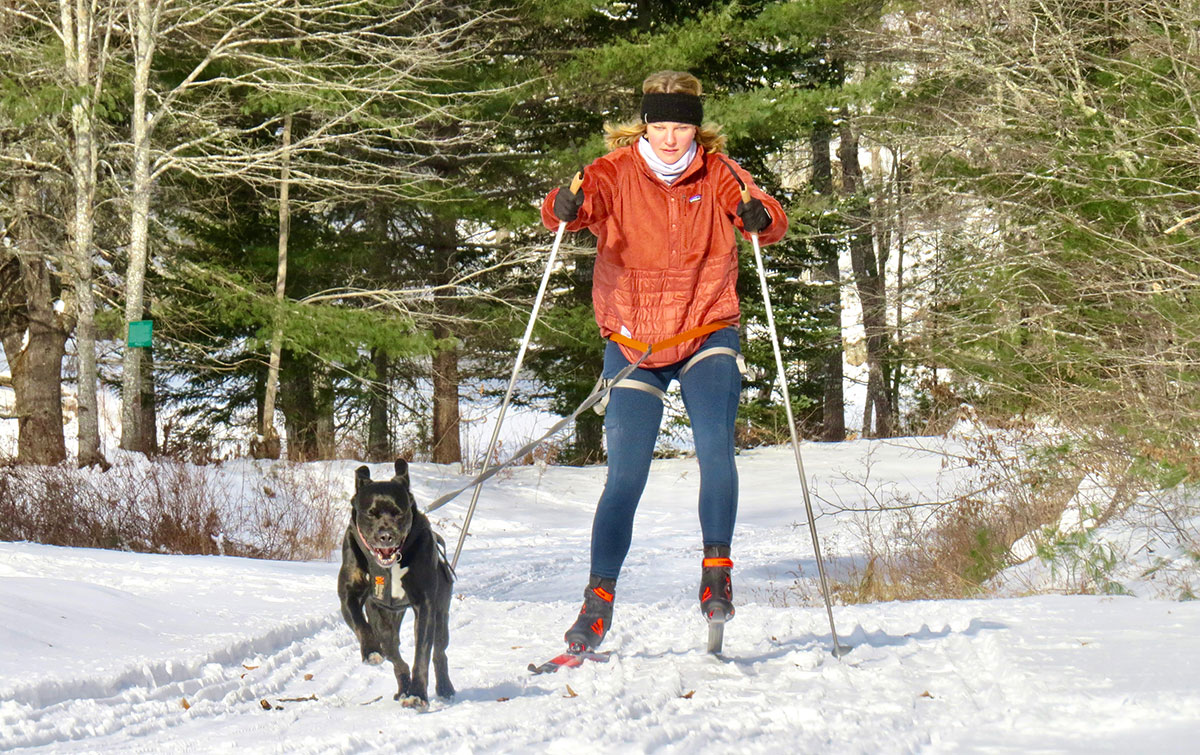 Skijoring at Hidden Valley Nature Center in Jefferson, Maine