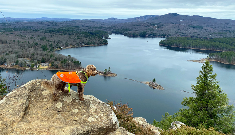 Maiden's Cliff, Camden, Maine