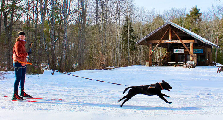 Skijoring at Hidden Valley Nature Center in Jefferson, Maine