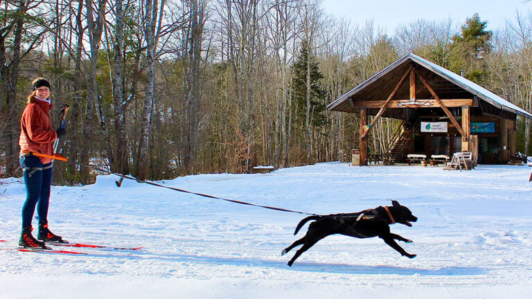 Skijoring at Hidden Valley Nature Center in Jefferson, Maine