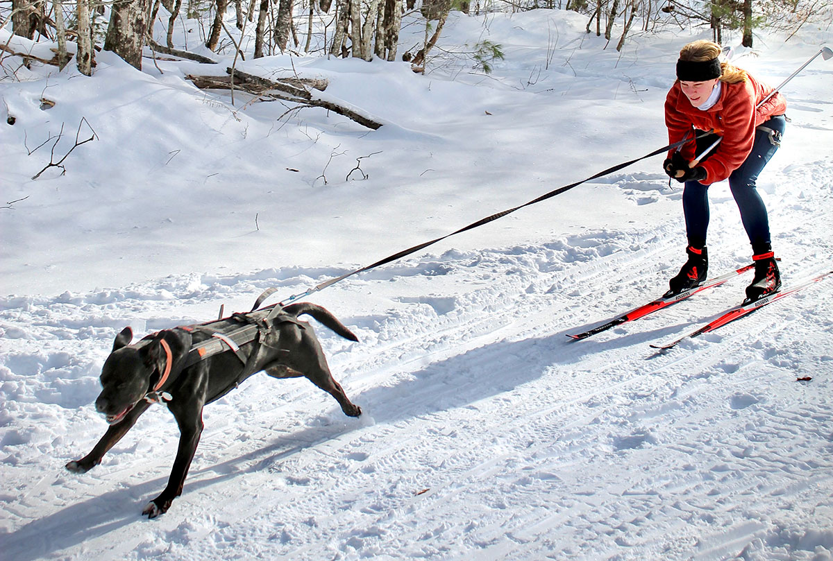 Skijoring at Hidden Valley Nature Center in Jefferson, Maine