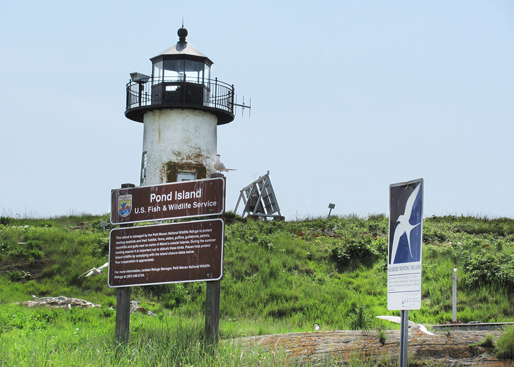 Maine Coastal Islands National Wildlife Refuge in Rockland, Maine