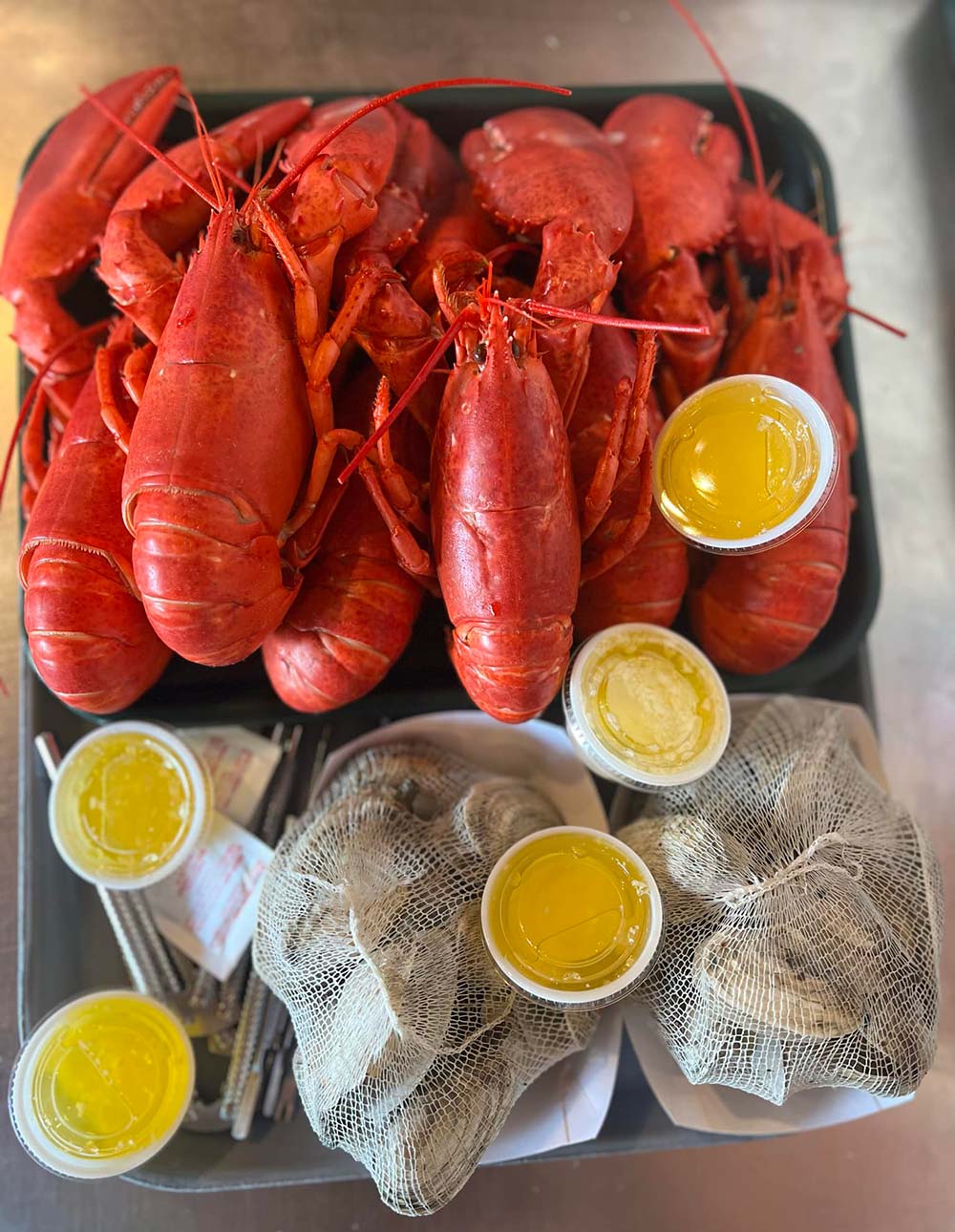 Muscongus Bay Lobster, Round Pound, Maine