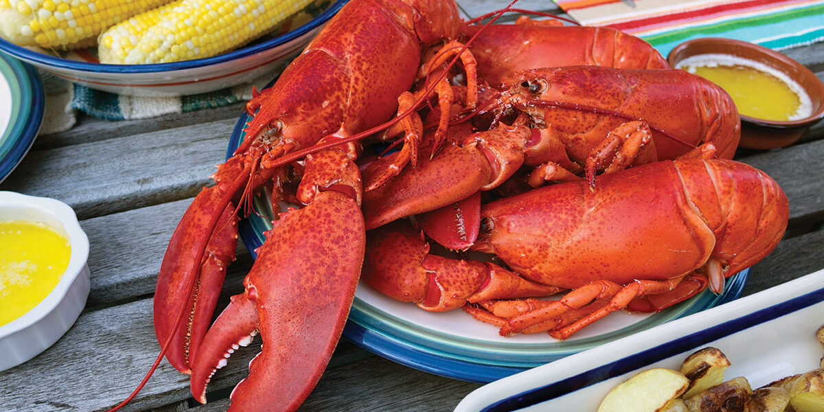 Boiled lobsters on a picnic table