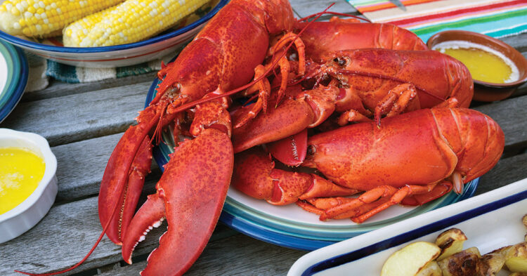 Boiled lobsters on a picnic table