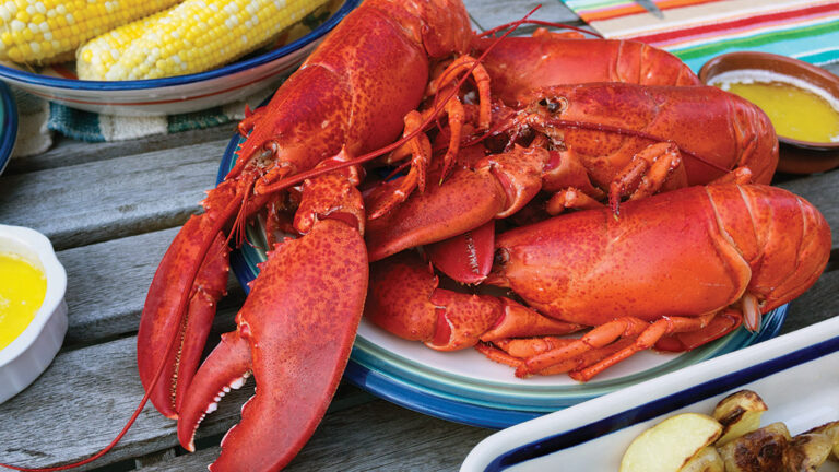 Boiled lobsters on a picnic table