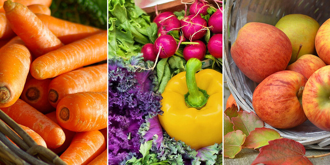 Carrots, radishes, peppers and apples -- autumn harvest