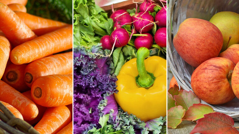 Carrots, radishes, peppers and apples -- autumn harvest