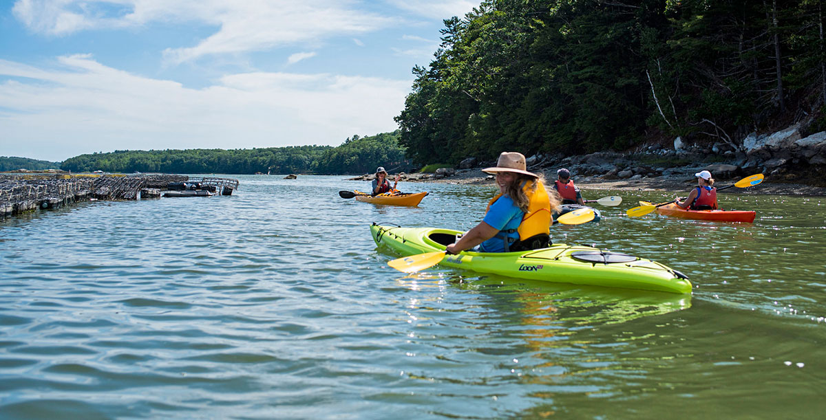 Kayak tour on the Damariscotta River