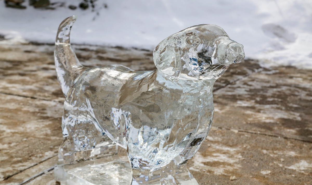 Ice sculpture at Maine Ice Carving Championship, Belfast, Maine